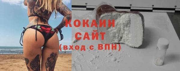 гидра Алексин