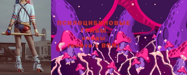 прущие крисы Алзамай