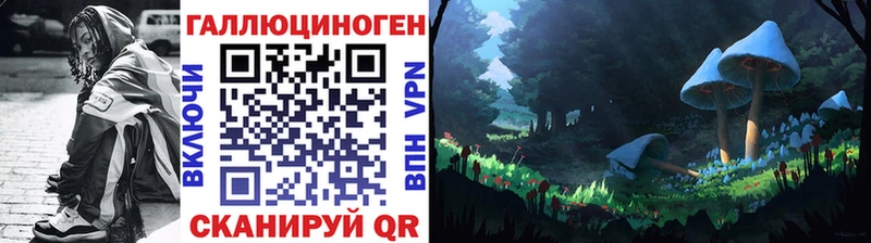 магазин продажи наркотиков  Безенчук  Псилоцибиновые грибы Psilocybine cubensis 
